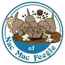 of Nac Mac Feegle cover