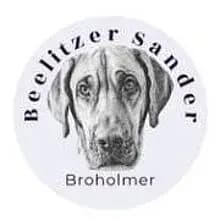 vom Beelitzer Sander cover