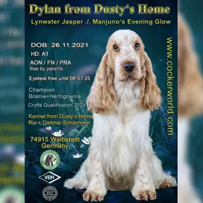 From Dusty's Home cover