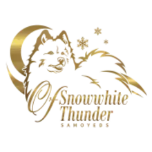 of snowwhite thunder cover