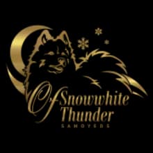 of snowwhite thunder cover