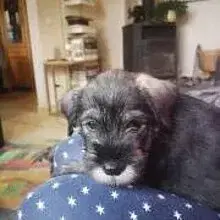 vom Kettenbach cover