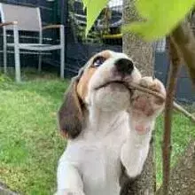 von der Heidesiedlung cover