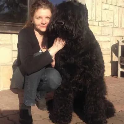 Schwarzer russischer Terrier Welpen - Astra Fidelis FCI