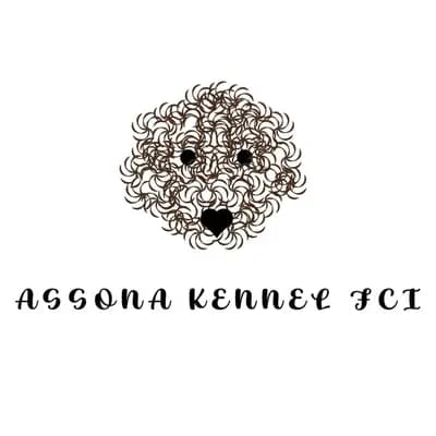 Assona