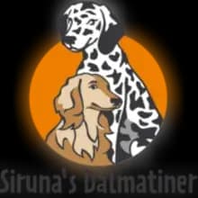 Siruna’s cover