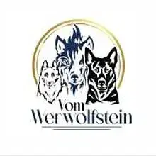 vom Werwolfstein cover
