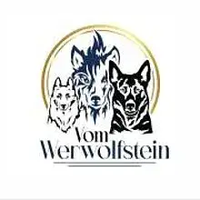 vom Werwolfstein cover