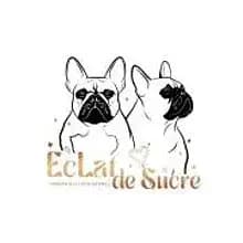 EcLat de Sucre cover