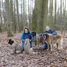 Leo vom Märker Feld cover