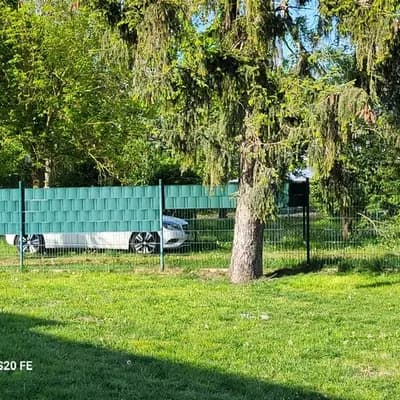 Bild aus Hundezucht vd Schönefelder Höhe in Brandenburg, wo unsere English Cocker Spaniel-Hunde in einer liebevollen Umgebung aufwachsen.