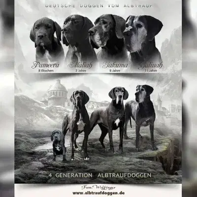 vom Albtrauf cover