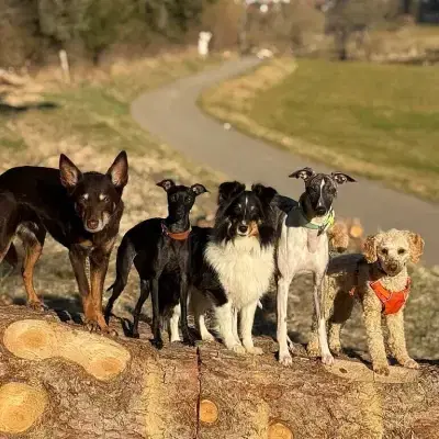 With Coolness and Power cover