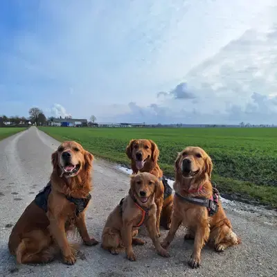 von der Mountainfielder Dog-Ranch cover