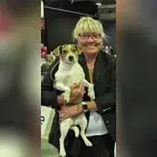 vom Heinersberg cover