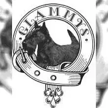 Glammys cover