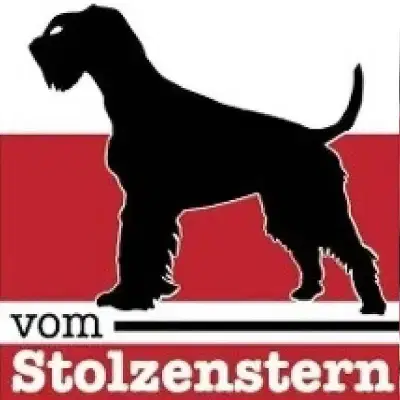 vom Stolzenstern cover
