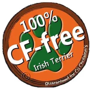 Galerie-Bild von Cú Chulainn's Irish Terrier in , mit Eindrücken unserer Irish Terrier-Zucht.