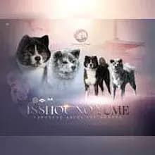 Isshou No Yume cover