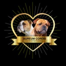Aureum Cordis