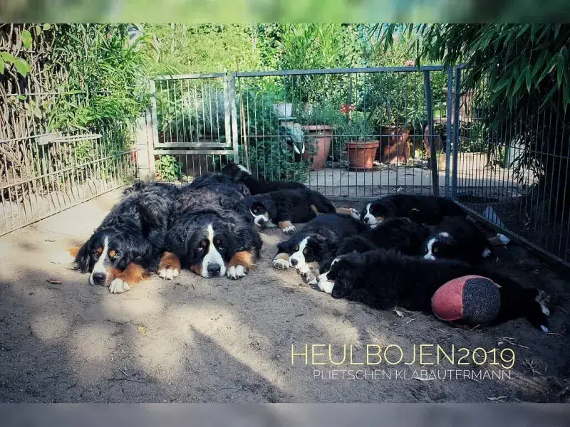 vom plietschen Klabautermann