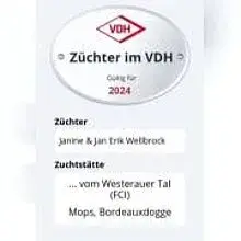 vom Westerauer Tal