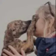 San Agustin del Guadalix