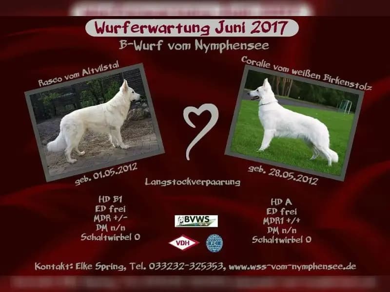 vom Nymphensee