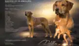 Matembezi kwa Ekundo Afrika - Bild 1
