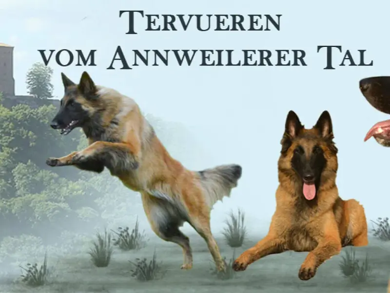vom Annweilerer Tal