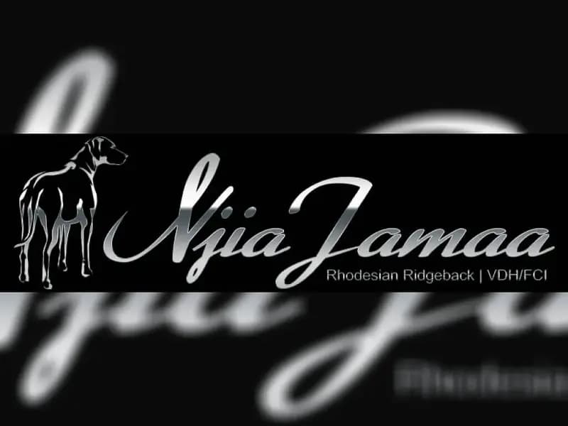 Njia Jamaa