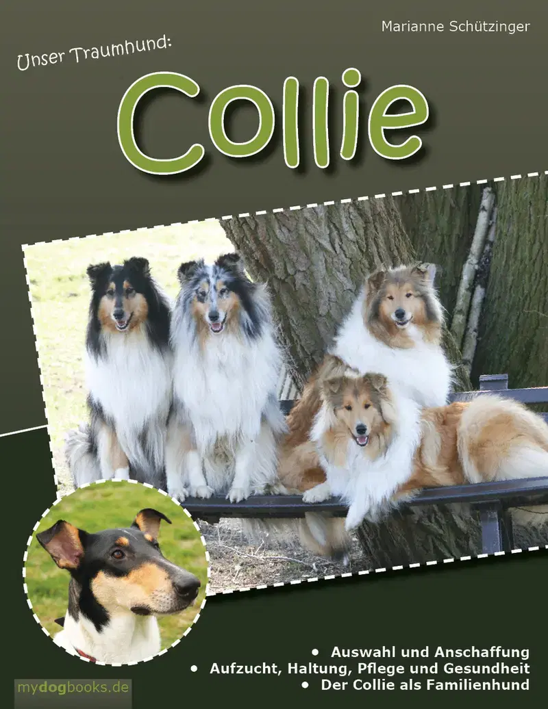 Forever mind Collies im Herzen Bayerns - Bild 1