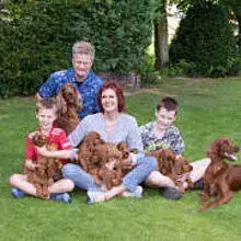 von den Wessendorfer Tannen