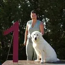 vom weißen Gefährten