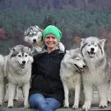 of Snow Wolf Valley
