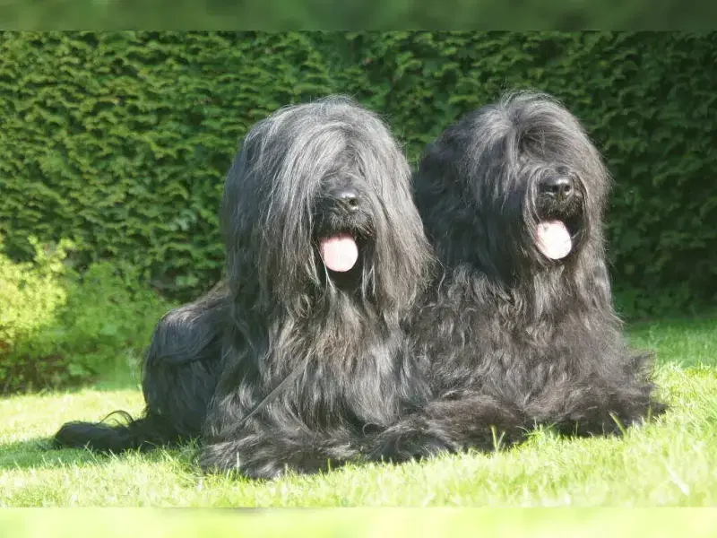 de la Porte de Pantin