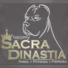 Sacra Dinastia
