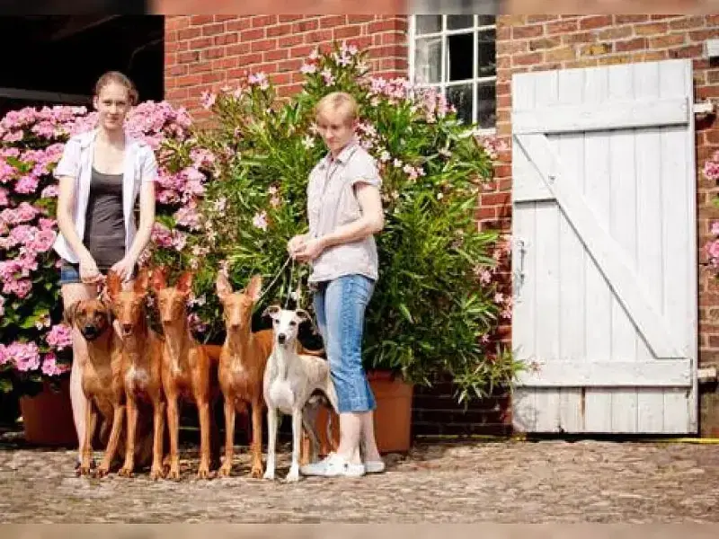 Killarney’s Heartland