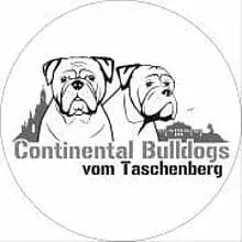 vom Taschenberg