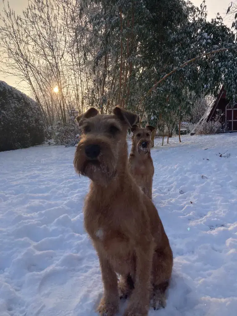 CATCH-ME-BANDITS  - Bild 1