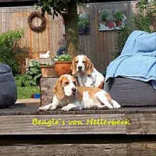 von Hellerbeck