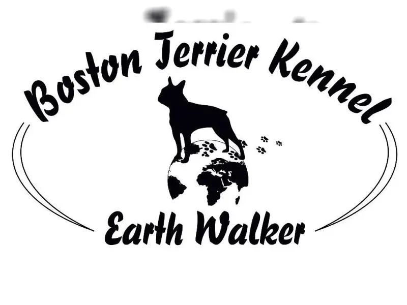 Earth Walker