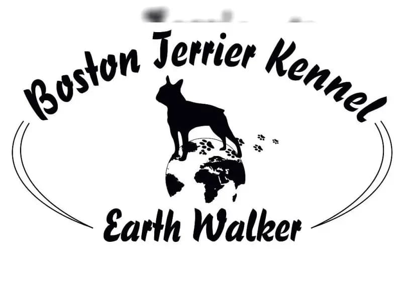 Earth Walker