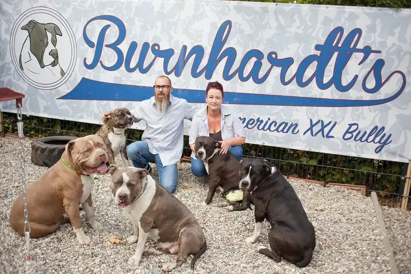 Burnhardt's American XXl Bully 2 - Bild 1