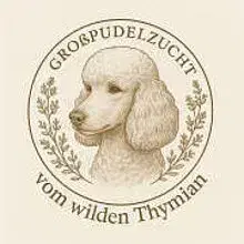 vom wilden Thymian