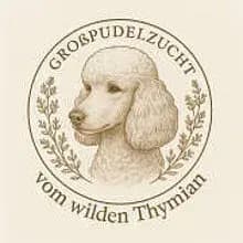 vom wilden Thymian