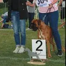 vom Kleinen Auenwald