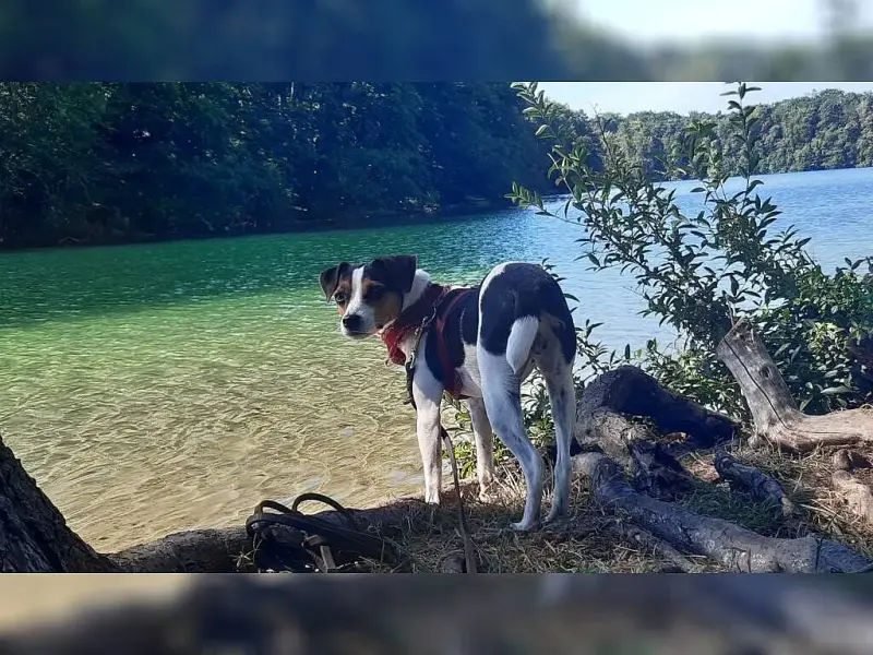vom Wundergarten
