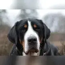 von den Milan Höhen