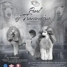 Pearl of Transnistria